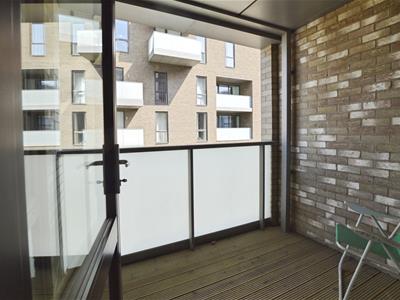 Picture 7